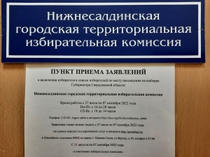 Состоялись очередное заседание Нижнесалдинской городской ТИК и обучение членов комиссии