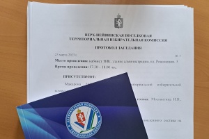 Третье заседание ТИК