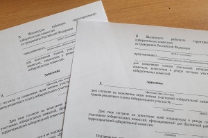 Формирование участковых избирательных комиссий – заключительный этап