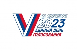 Назначены дополнительные выборы депутата Законодательного Собрания Свердловской области