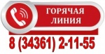 Организована работа 