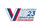 Общие сведения о явке избирателей