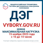 Общероссийская тренировка ДЭГ. Этап голосование