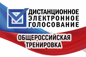 Общероссийская тренировка системы ДЭГ