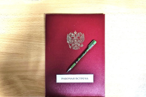 Рабочая встреча