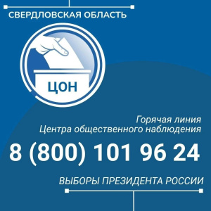 Центр общественного наблюдения принимает обращения избирателей