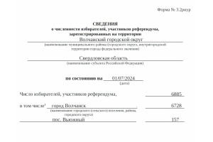 В Волчанском городском округе установлена численность избирателей на 1 июля 2024 года