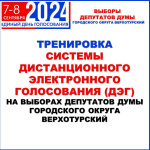Тренировка системы дистанционного голосования