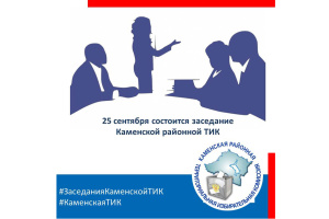 Анонс заседания ТИК