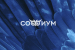 Итоги первого тура Всероссийской олимпиады школьников «Софиум»