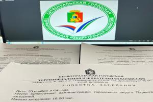 Очередное заседание ТИК
