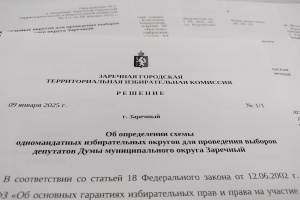 Первое заседание ТИК в 2025 году