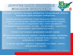 День молодого избирателя в МО Богданович