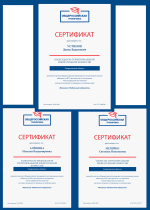 Общероссийская тренировка - уровень ТИК
