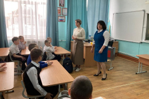 Выборы по Колобку