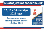 Многодневное голосование