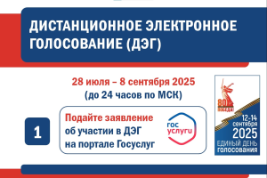 Многодневное голосование