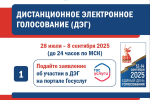 Многодневное голосование
