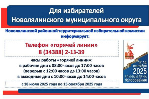 Начала работать «горячая линия» для избирателей