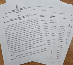 Шестое заседание территориальной комиссии
