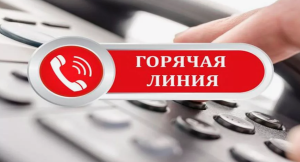 Горячая линия! Звоните!
