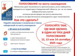 Голосование по месту нахождения