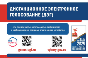Голосование в удобное время