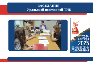 Заседание ТИК 22-07-2025