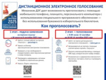 Дистанционное электронное голосование при проведении досрочных выборов Губернатора
