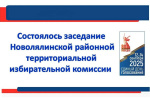 Состоялось двенадцатое в 2025 году заседание Новолялинской районной территориальной избирательной комиссии