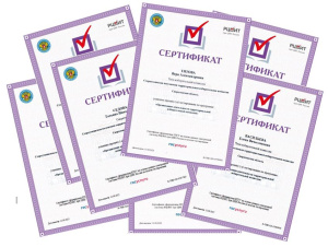 Обучение по подготовке к выборам