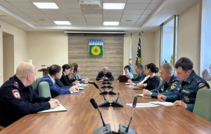 Голосовать безопасно