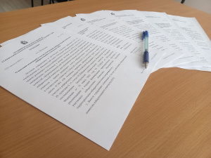 Семнадцатое заседание ТИК