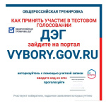 Тренировка ДЭГ: 3 сентября в 8.00 часов местного времени началась общероссийская тренировка, в которой могут принять участие избиратели, которые подали заявление на ДЭГ ранее 1 сентября