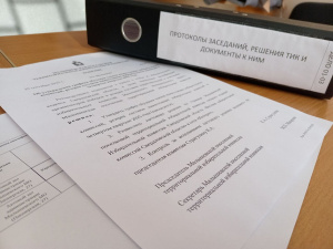 Состоялось двадцать четвертое заседание ТИК