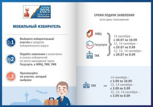 Мобильный избиратель