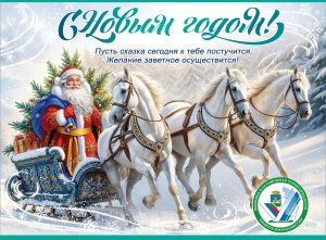С наступающим новым 2026 годом!