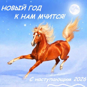 С Новым 2026 годом!
