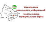 Установлена численность избирателей Новолялинского муниципального округа на 1 января 2026 года