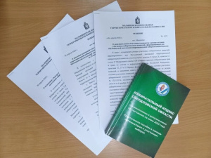 Четвертое заседание Малышевской ПТИК