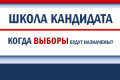 Сроки назначения выборов