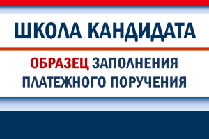 Оплата агитационных материалов из избирательного фонда