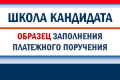 Оплата агитационных материалов из избирательного фонда