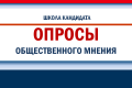 Правила публикации опросов общественного мнения