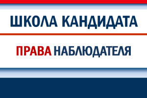 Содержание полномочий: права наблюдателя на выборах