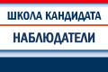 Наблюдатели на выборах: общие положения
