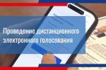 На выборах-2026 избиратели Свердловской области смогут проголосовать с помощью ДЭГ