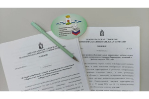 Восьмое плановое заседание ТИК