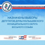 Назначены выборы депутатов Думы Малышевского муниципального округа восьмого созыва