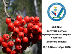 Назначены Выборы депутатов Думы МО Карпинск